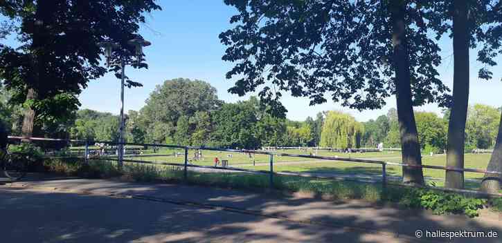 Grüne laden zum Wahlkampfhöhepunkt auf die Ziegelwiese