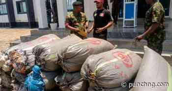Navy hands over 19 bags of seized cannabis to NDLEA in Anambra
