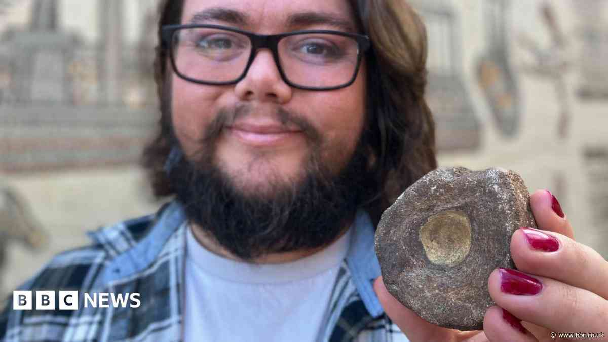 Exceptional fossil gives glimpse into Roman life
