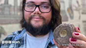 Exceptional fossil gives glimpse into Roman life