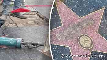 Na vernielen ster Dolly Parton op Walk of Fame: hier wordt hij hersteld