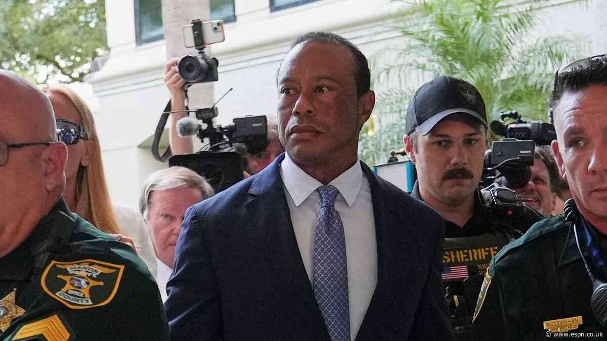 Tiger's license suspended 5 years after plea deal