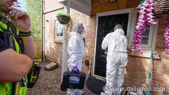 'Murdered' newborn baby was 'stabbed 15 times' by family at Sheffield home before body was dumped in outhouse, court told