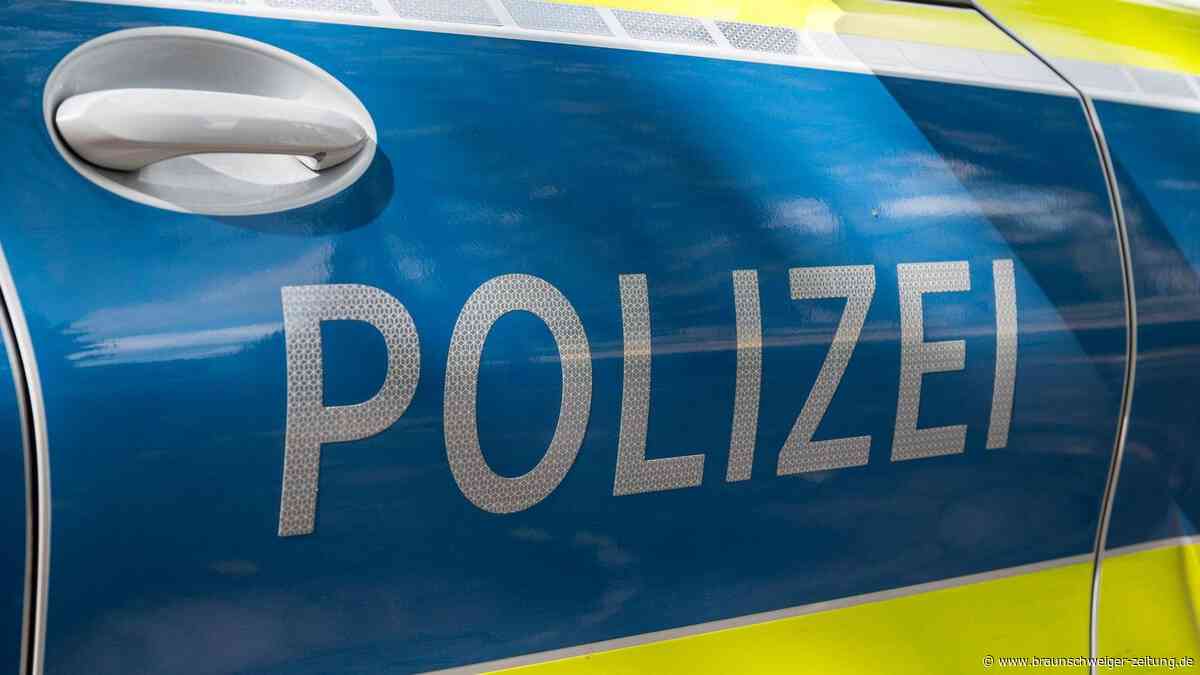 Auf frischer Tat ertappt: Gifhorner Polizei fasst zwei mutmaßliche Diebe