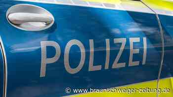 Auf frischer Tat ertappt: Gifhorner Polizei fasst zwei mutmaßliche Diebe