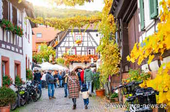 Neustadt / Weinstraße – Pfalz – Herbst ist Hochsaison: 10 Tipps für Weinlese, Wandern, Federweißer und Genuss