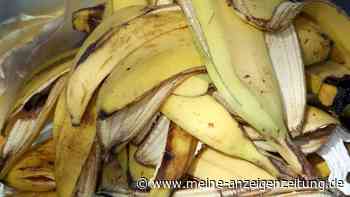 Bananenschalen im Garten: Was der Herbst-Trick wirklich bringt