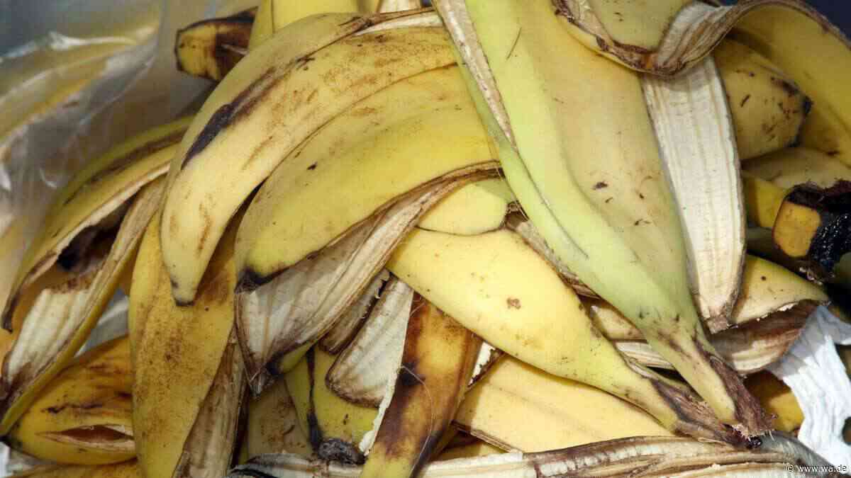Bananenschalen im Garten: Was der Herbst-Trick wirklich bringt