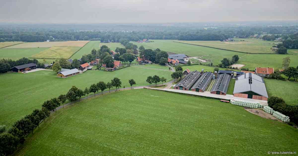 Stank bij kippenhouderij in Buurse is voor buren niet te harden: ‘Zomaar feestje houden kan niet’