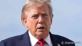Trump: 'When are the Iranian people going to rise up and fight?'