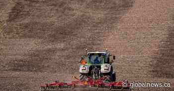 Maritime farmers hit by major drought last summer say they’re on the road to recovery