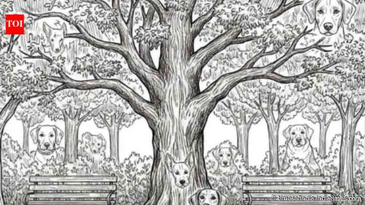 Optical illusion personality test: You are a genius if your sharp eyes can spot all dogs hidden in this deceptively simple park scene