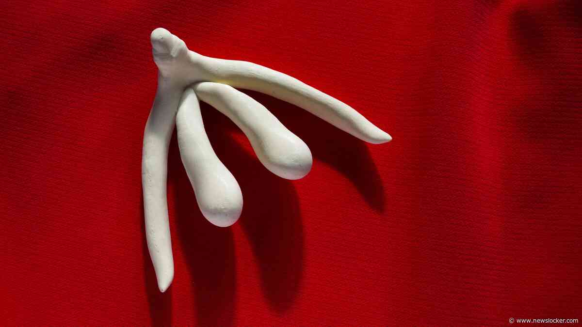 Vijf dingen die je nog niet wist over de clitoris: ’Alleen de eikel is zichtbaar’