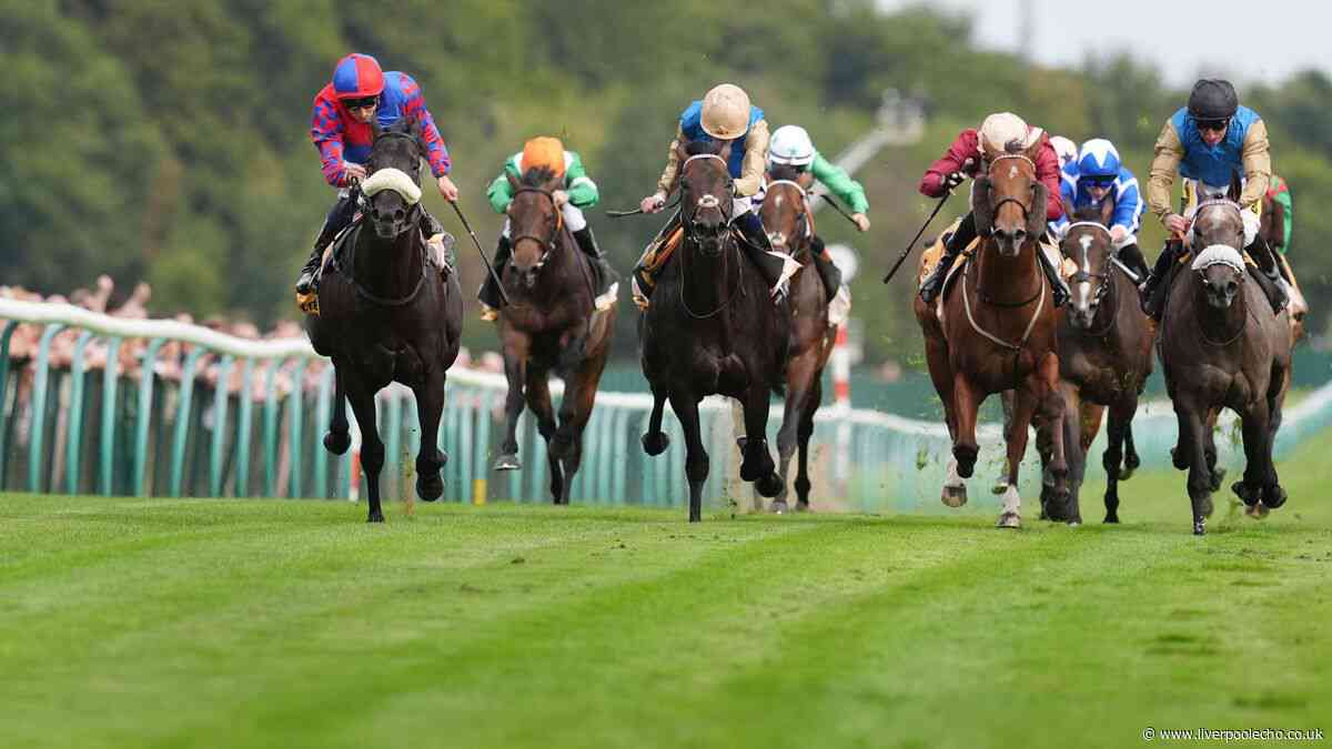 Kind Of Blue out to make it third time lucky in Sprint Cup at Haydock Park