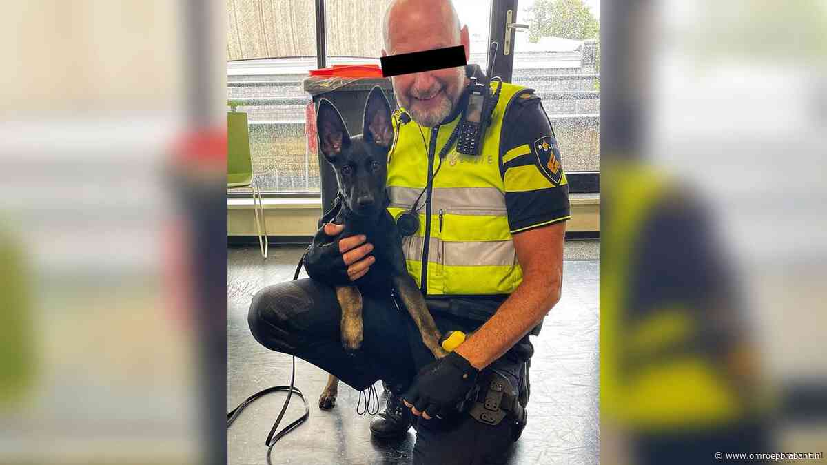 Tegel van verdachte wijkagent Erwin weggehaald uit Tilburgse Walk of Fame