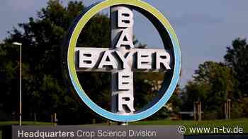 Neue Mais- und Soja-Sorten: Bayer bringt seine Agrar-Blockbusterkandidaten auf den Markt
