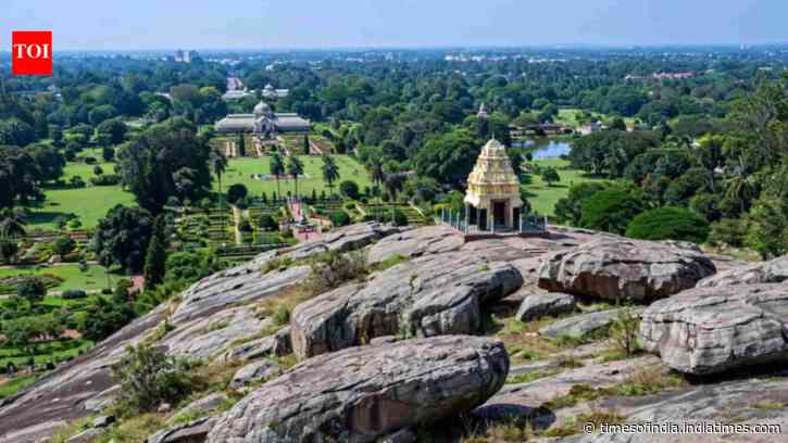 Older than dinosaurs and Himalayas: Why Bengaluru’s 3-billion-year-old Lalbagh Rock is in the news