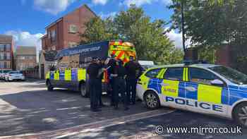 Newborn baby girl 'stabbed 15 times before body found in Sheffield outhouse' – five in court