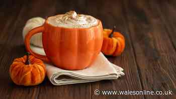'Delicious' pumpkin spice latte recipe — easy to make at home this autumn