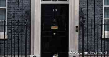 Consumentenbond zet Downing Street 10 op Booking.com, nepadvertentie blijft weken online staan