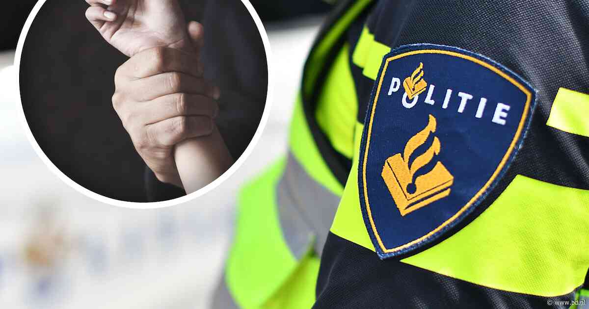 Verdachte (41) van klemrijden en mishandelen fietsster in Den Bosch blijft tot rechtszaak in cel