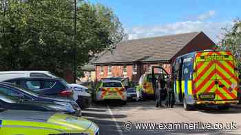 'Baby S' was stabbed 15 times and had 33 wounds when police found her on washing machine in outhouse, court told