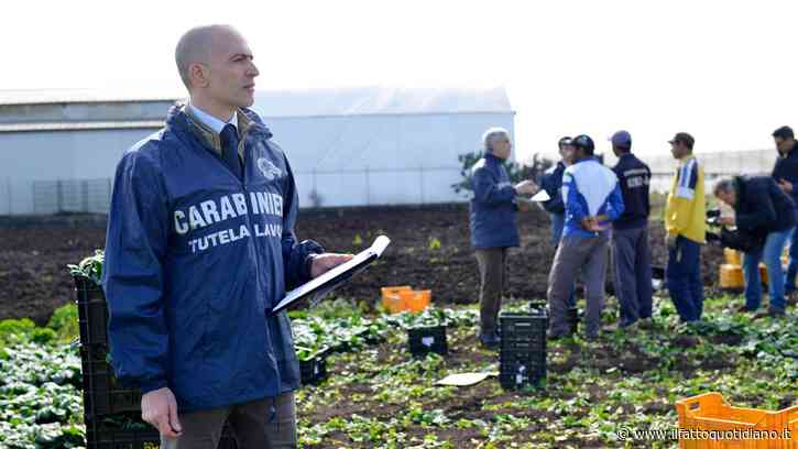 Braccianti schiavi nei campi della Calabria: paghe da 3 euro l’ora e minacce, 20 fermi dei carabinieri