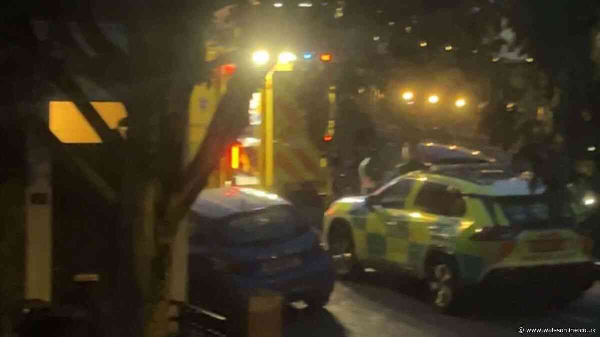 Police rush to busy Cardiff street after stabbing