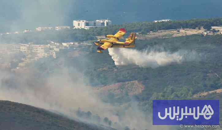 موجة الحرارة ترفع التأهب لمواجهة خطر حرائق الغابات بشمال المغرب
