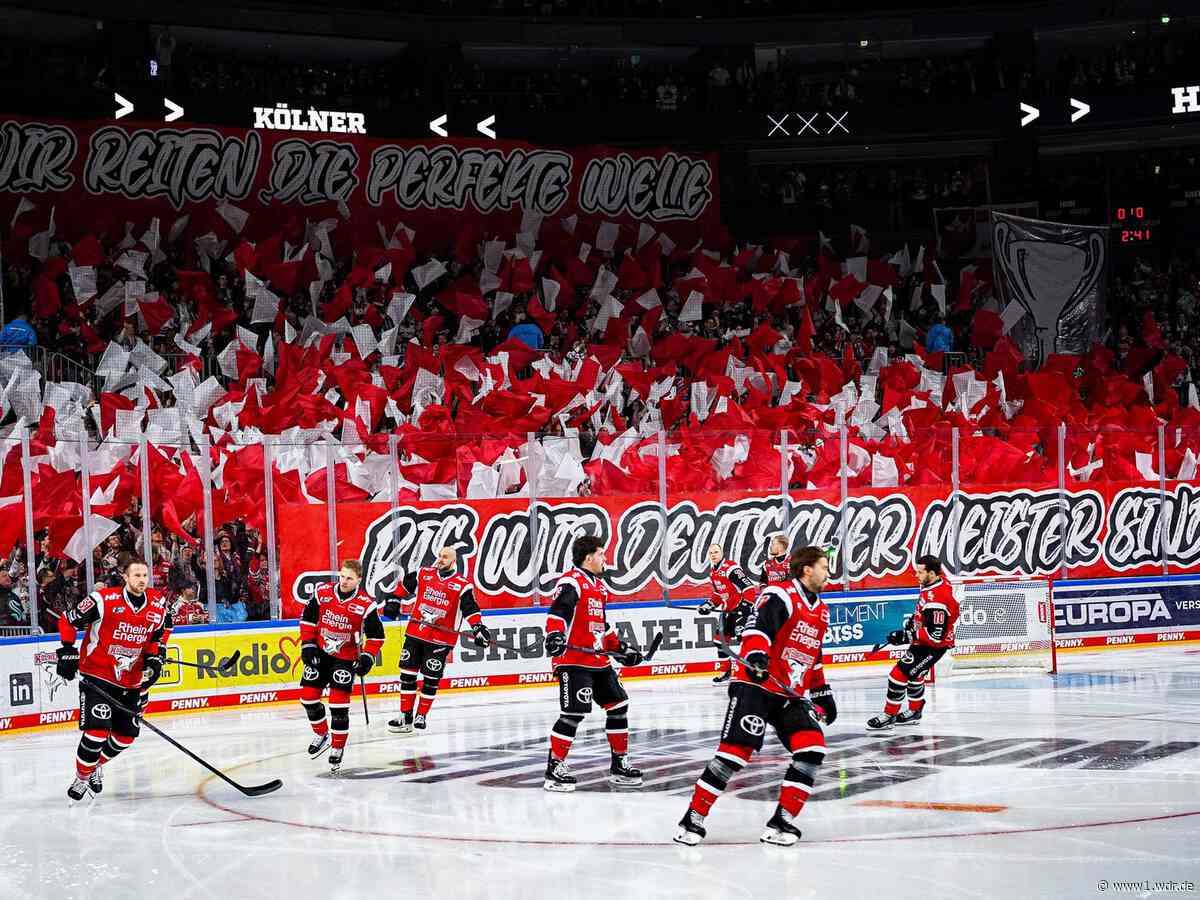 Kölner Haie vor CHL-Auftakt: "Wir haben einen großen Traum"