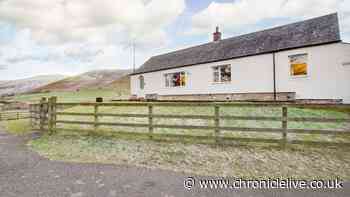 Northumberland cottage perfect for stargazing in 'stunningly peaceful' beauty spot