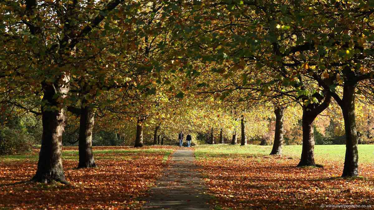 Exact date autumn begins as Met Office shares September outlook