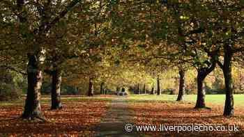 Exact date autumn begins as Met Office shares September outlook