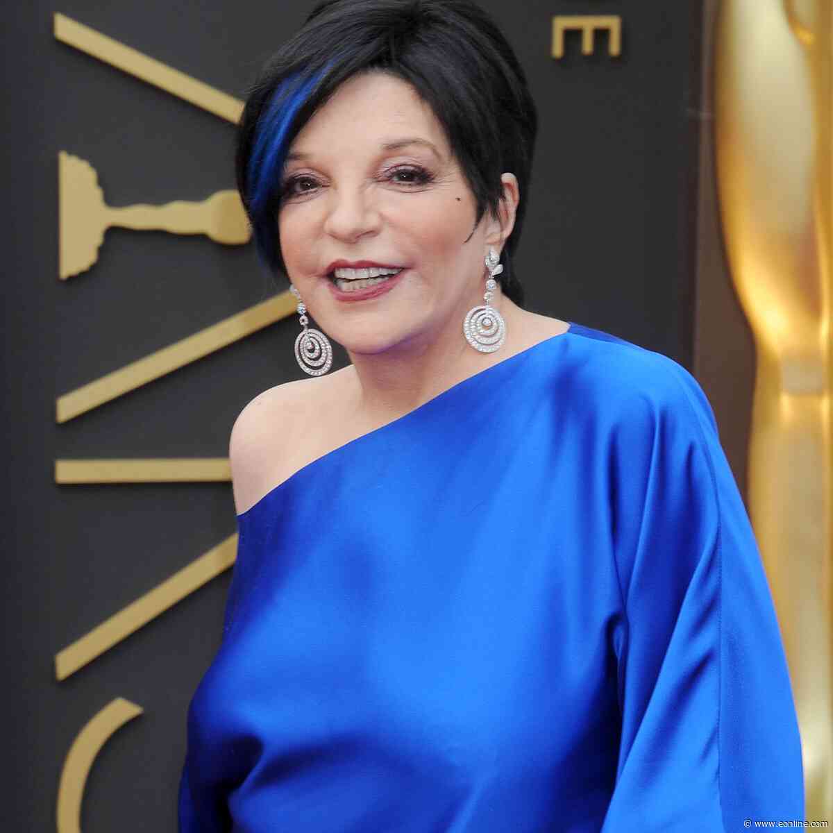 Liza Minnelli "Grateful to Be Alive" Amid Substance Use Disorder