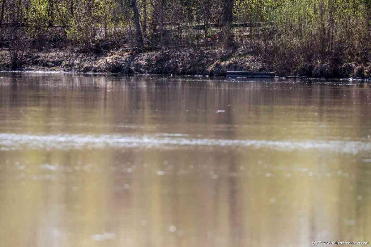 Winnipeg woman saves child, father in ‘courageous’ river rescue