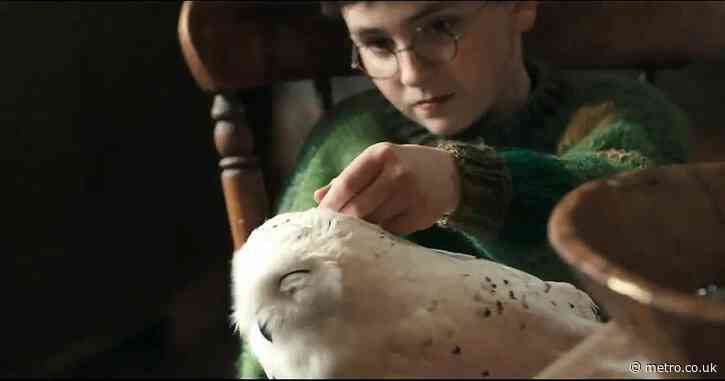 Harry Potter TV series unveils full trailer with first look at new Hogwarts