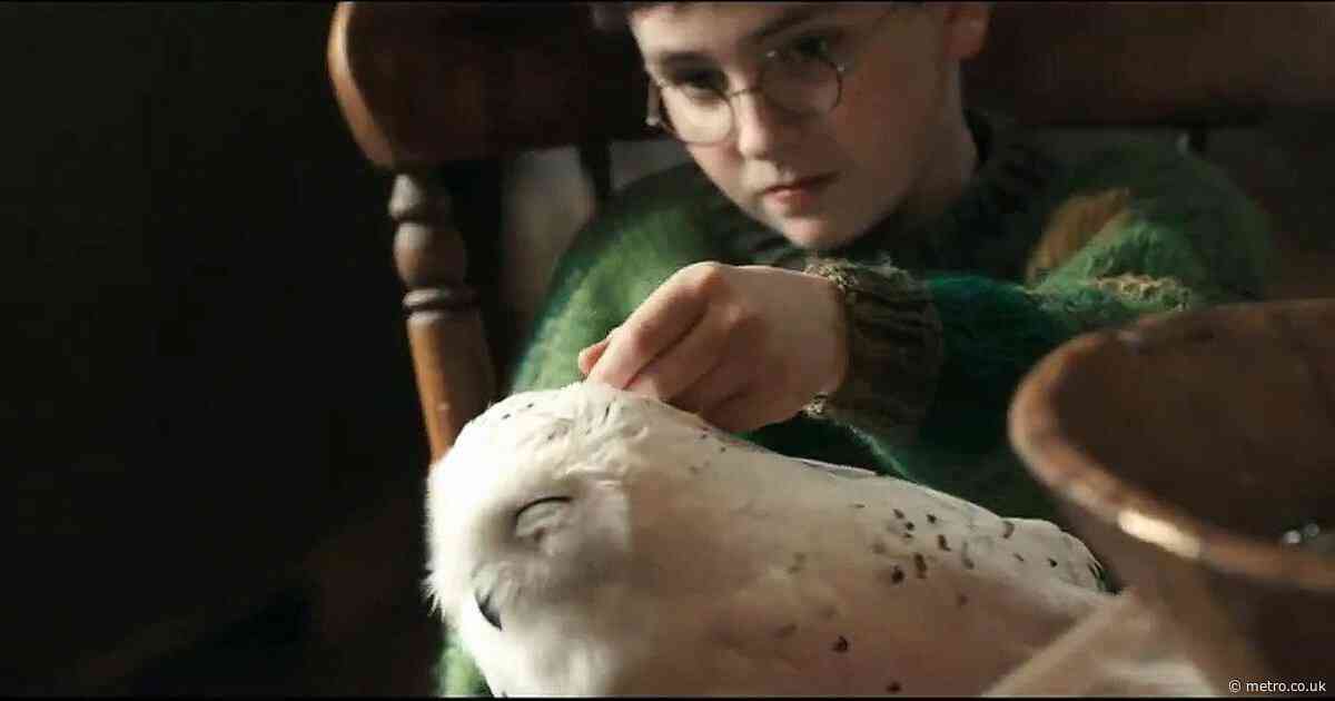 Harry Potter TV series unveils full trailer with first look at new Hogwarts