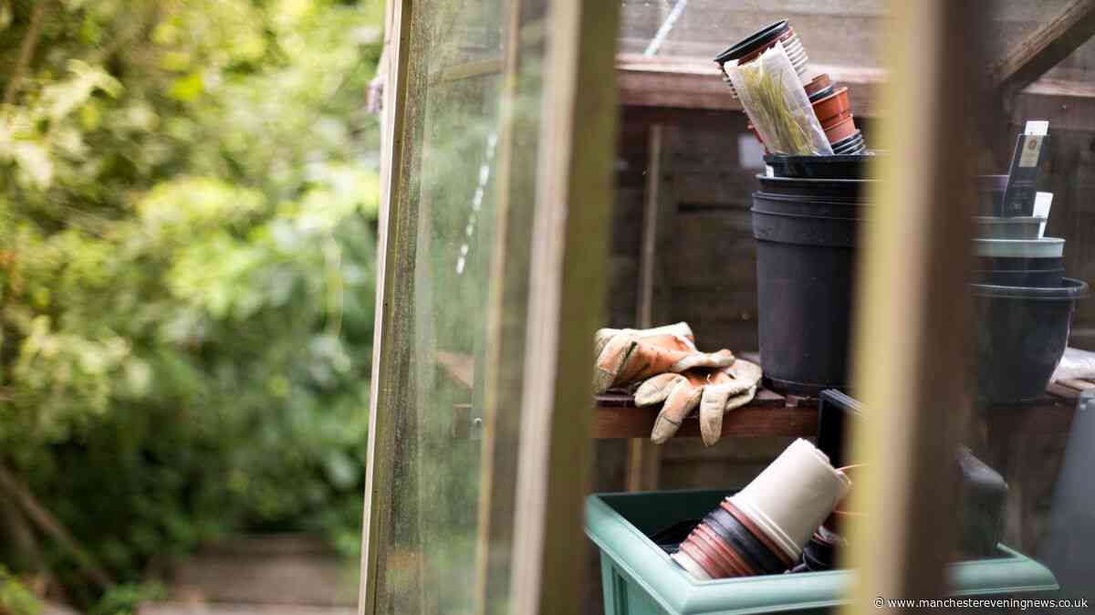The five essential tasks that all gardeners must do in September