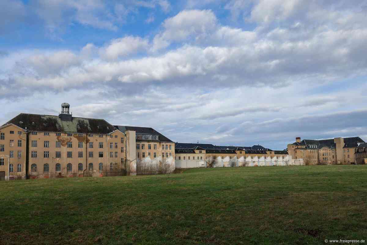 Kommentar zum Palla-Projekt: Der Riese ist schwer krank