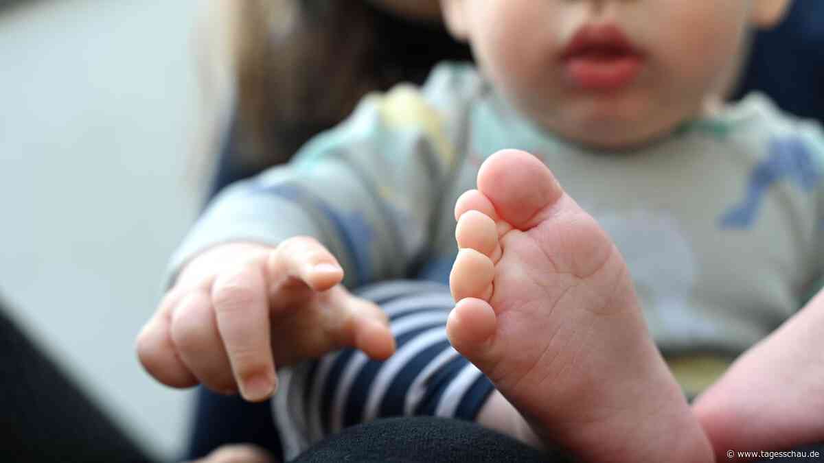 Institut für Bevölkerungsforschung: Was Menschen vom Kinderkriegen abhält