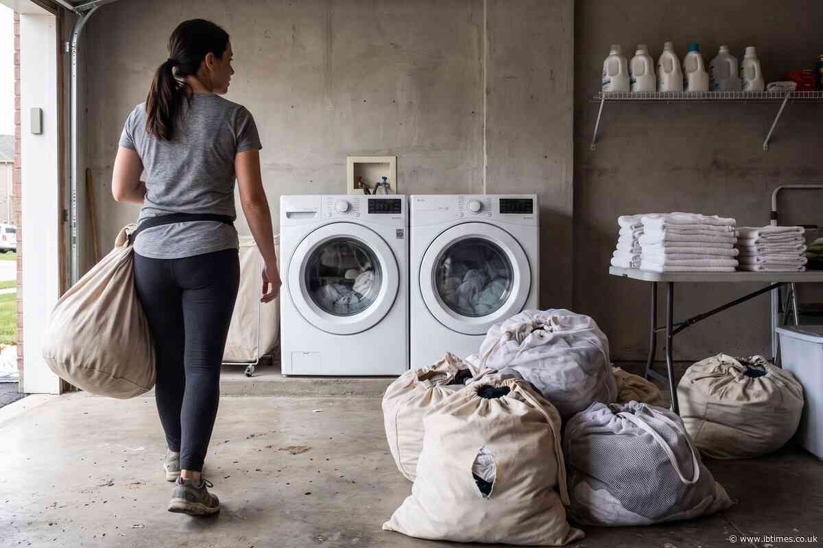 US Navy Mum Makes Up to $11,000 a Month Doing Other People's Laundry From Home: 'It's Better Than Uber'