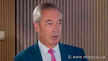 Moaning Nigel Farage whines about being 'judged guilty' during £5million probe wait