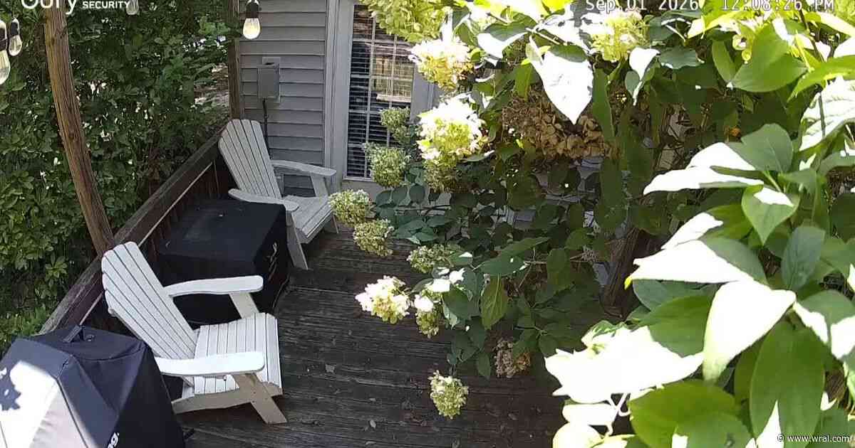 Caught on cam: Shots fired in Johnston County neighborhood startle residents