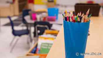 Ontario’s new school supplies portal for teachers may have pricing 'mistakes,' says education minister