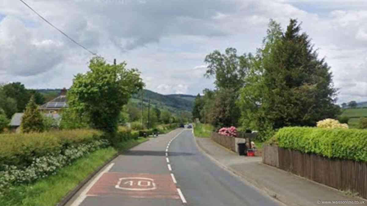 Man dies after lorry crash near Powys village