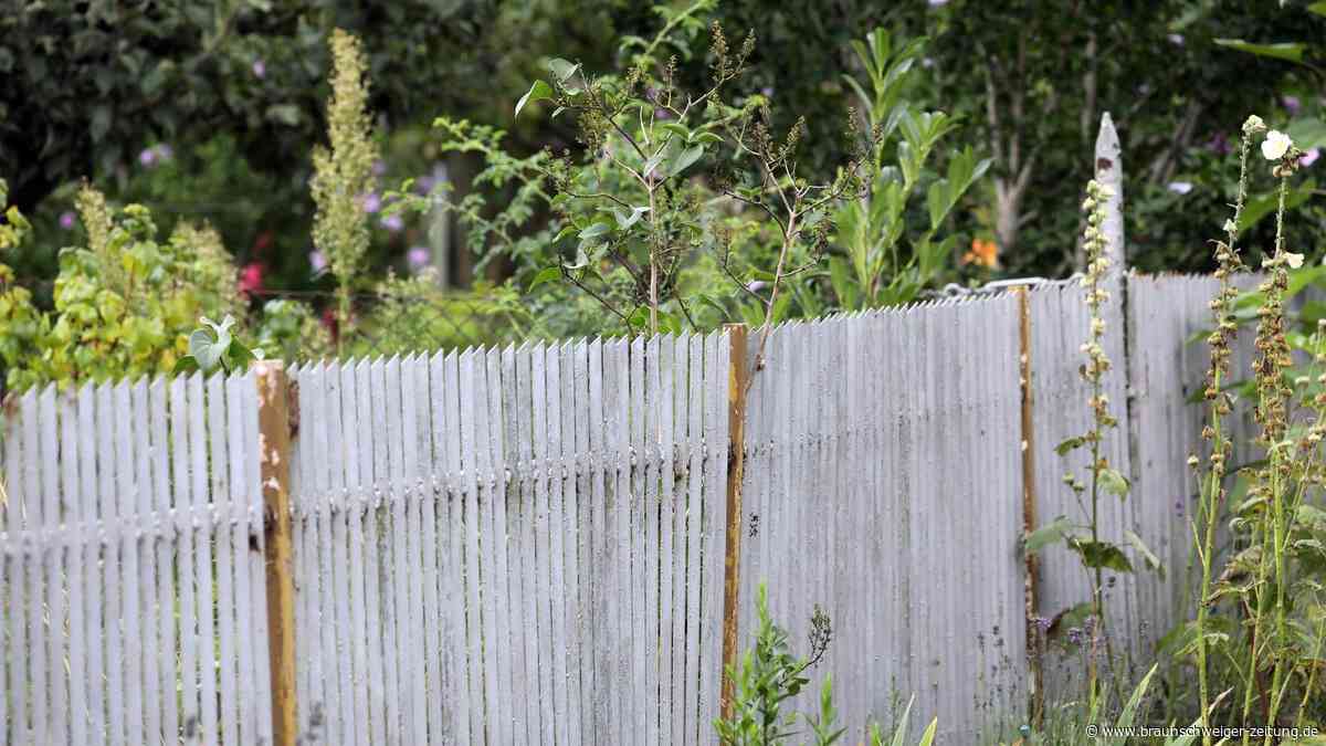 Herzberg: Streit endet vor Gericht – „Mit der Frau kann man nicht sprechen“