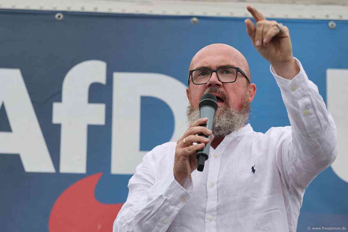 Kaninchen vor der Schlange: Warum Sachsen-Anhalts Kultur kein Mittel gegen die AfD findet