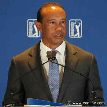 Tiger Woods Gets License Suspended for 5 Years in DUI Plea Deal