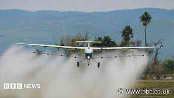 Will self-flying planes transform the skies?