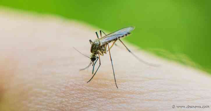West Nile virus found in mosquitoes trapped at 2 Roswell parks, treatments underway